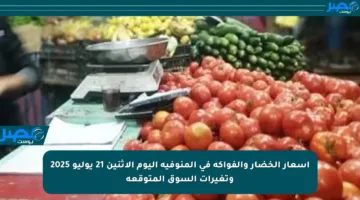 أسعار الخضار والفواكه في المنوفية اليوم الإثنين 21 يوليو 2025 وتغيرات السوق المتوقعة